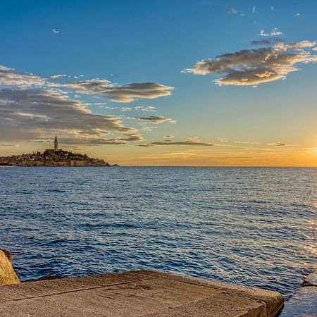 Studio Katarina Rovinj Dış mekan fotoğraf